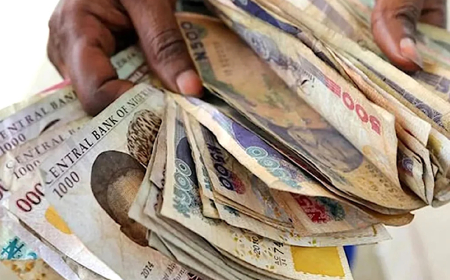 Naira records marginal loss in official forex market