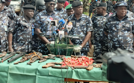Lagos, Ogun police commands rescue five, arrest 88 suspects in forests raid