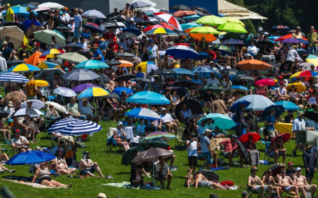 Germany hits record 41.5C as Europe heatwave sets new temperature records