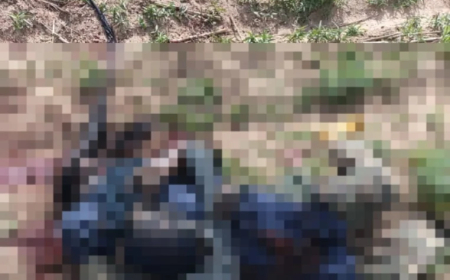Soldiers kill two suspected terrorists in Kebbi