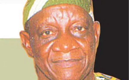 Ladi Adebutu and Iyabo Obasanjo can deliver Ogun, by Dele Sobowale