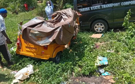 Eight die, 17 injured in Katsina auto crash