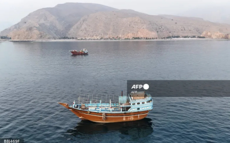 Hormuz shipping traffic drops after Saturday strike on vessel 