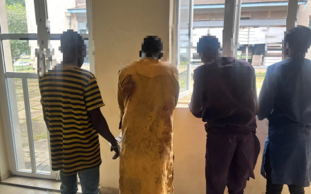 Police rescue two abducted kids, nab inter-state kidnap gang in Oyo
