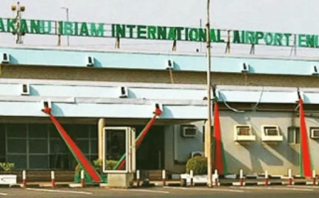 Igbo Leaders of Thought rejects handover of Enugu airport to private company