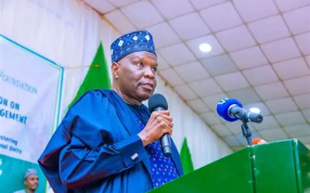 Gombe gov unveils anti-terror campaign, says insecurity biggest threat to North
