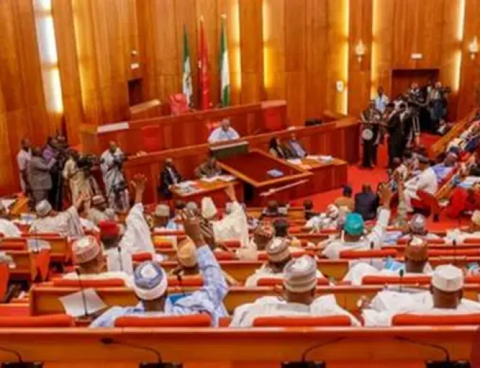 11th Senate to consider six-year single term for president, govs – Lawmaker