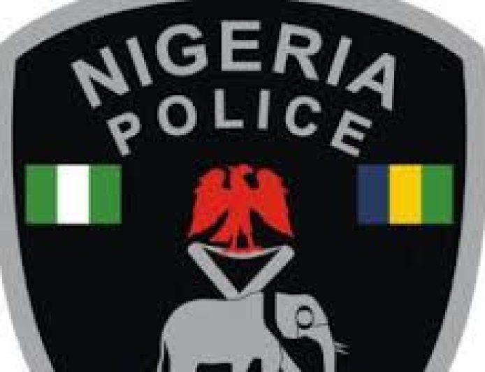 Retired policemen beg Tinubu to sign Police Exit Bill into law