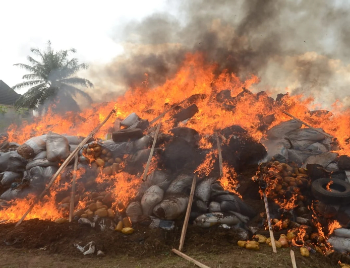NDLEA destroys N2.8bn drugs in Edo