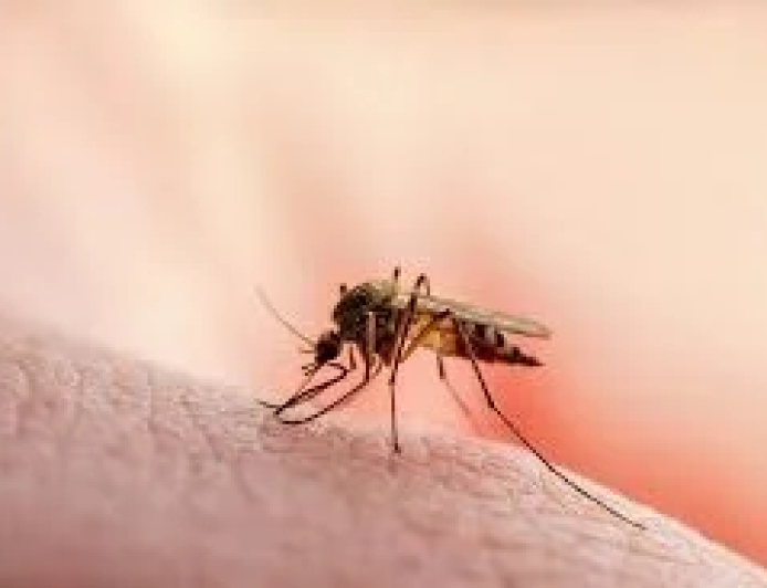 Kwara cuts malaria by half, blames sanitation for 60% of cases