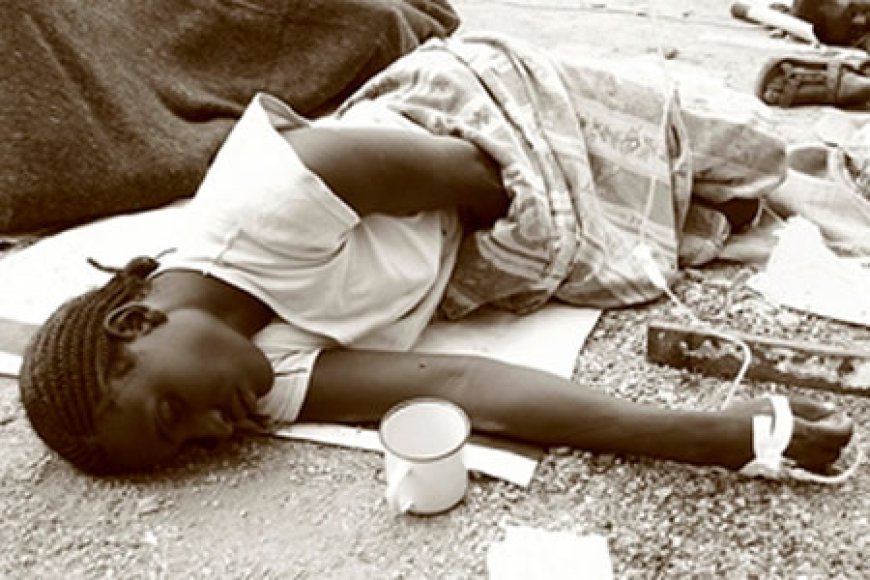 Cholera: 274 new cases hit Borno in 24 hours