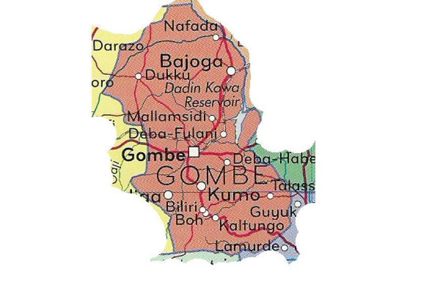 Gombe hails results of tree planting, erosion control projects