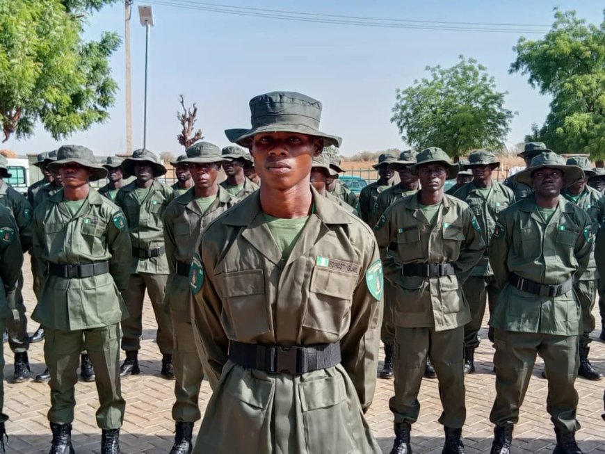 States rush to deploy forest guards as insecurity deepens
