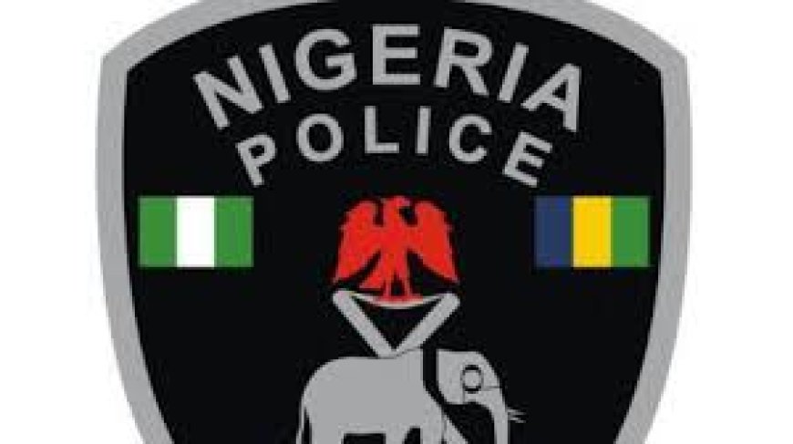 Retired policemen beg Tinubu to sign Police Exit Bill into law
