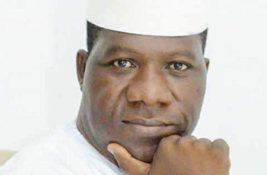 Bamidele pushes six-year single term for presidents, govs