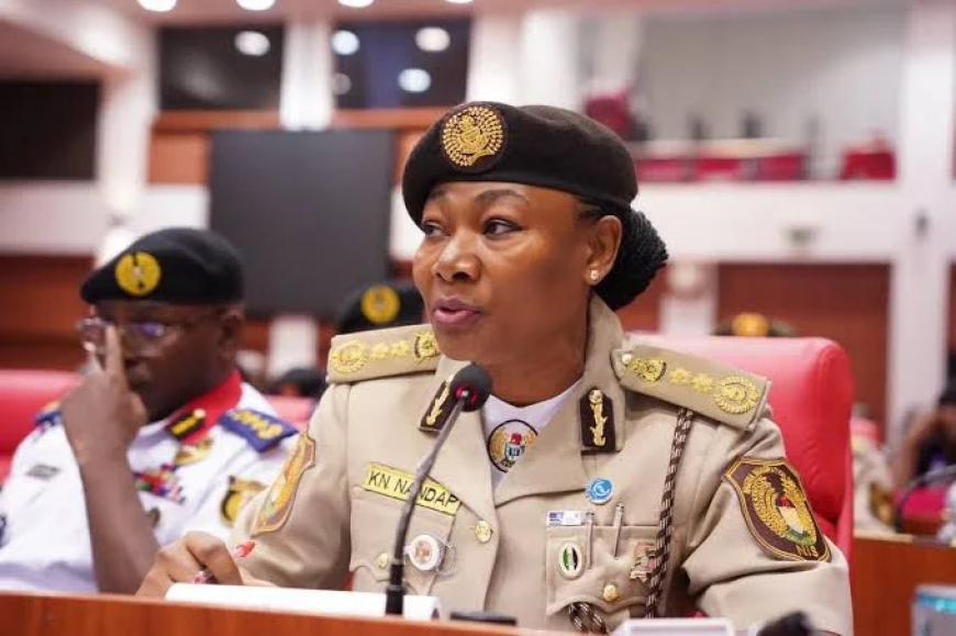 NIS deploys technology against irregular migration