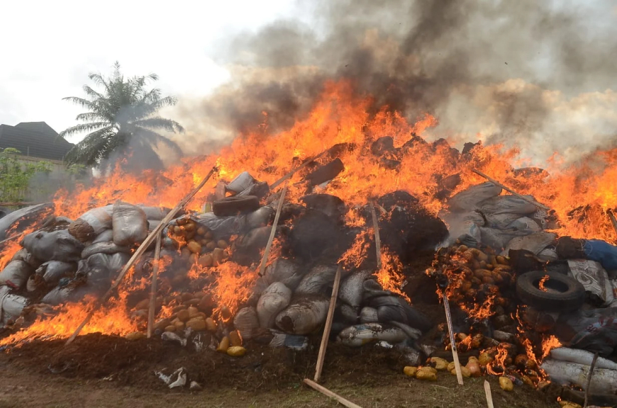 NDLEA destroys N2.8bn drugs in Edo