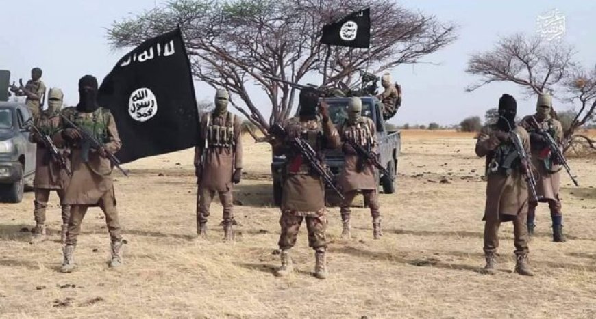 Army kills ISWAP leader, two surrender in Borno offensive
