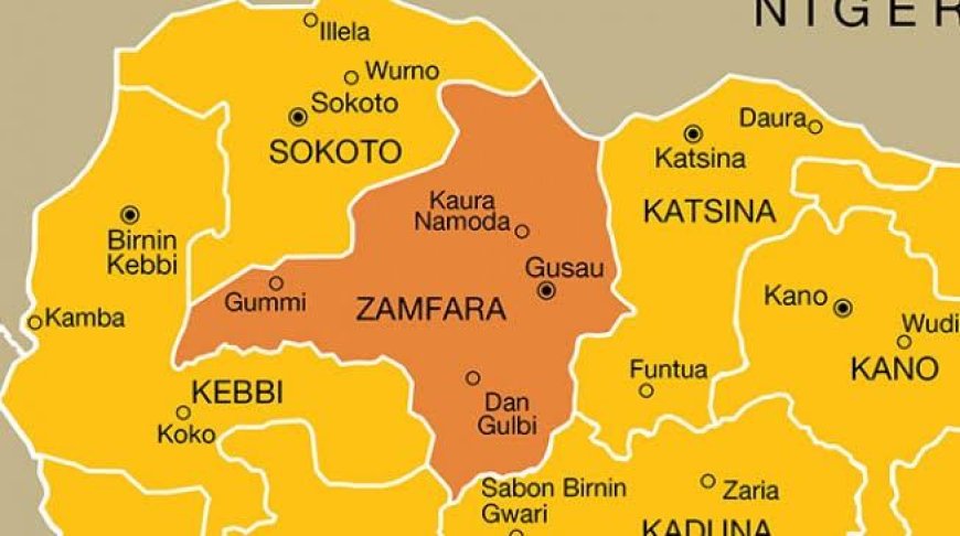DSS intercepts arms cache in Zamfara, nabs courier
