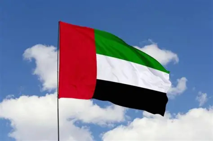 UAE bans social media for under-15s
