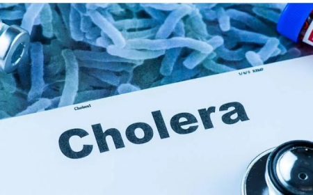 Cholera kills 120 in Sudan – WHO