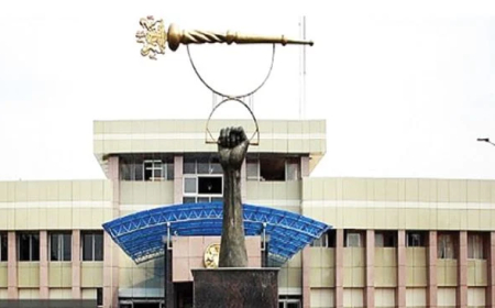 Why we declared Delta lawmaker’s seat vacant – Assembly