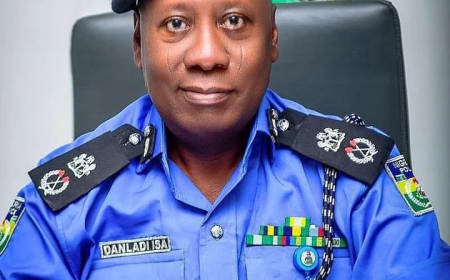 Police destroy criminal camp in Abia forest