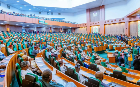 Reps panel seeks special court to tackle crude oil theft