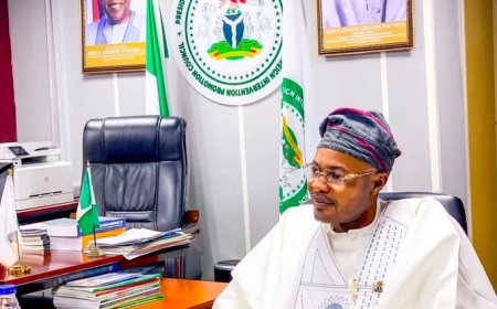 Adeyemi, the man in Nigeria’s ₦1.3bn ‘ghost agency’ scandal
