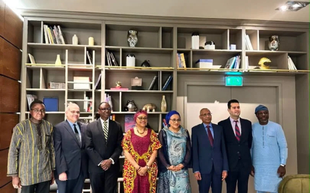 Florence Ajimobi arrives Vienna, assumes duty as Nigeria’s ambassador to Austria