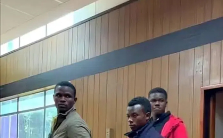 Three brothers charged with murder after beating mother’s boyfriend to death