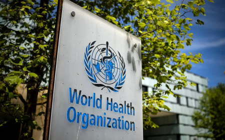 WHO launches first global database to track STIs
