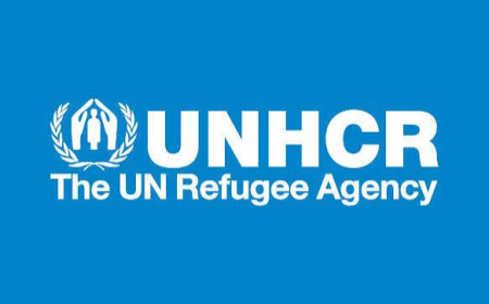 Lake Chad crisis nears dangerous tipping point, UNHCR warns