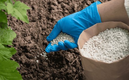 FG Reaffirms Commitment To Food Security During Inspection Of Local Fertiliser Facilities
