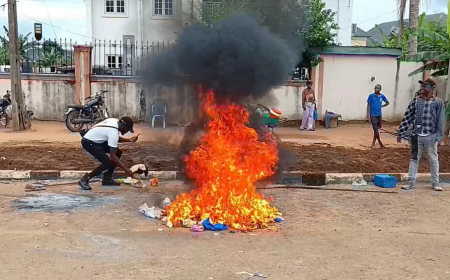Anambra agency destroys ₦50m illicit drugs, arrests suspects