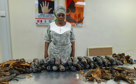 NDLEA arrests Nigerian-British grandma with 13kg cocaine hidden in plantain peels