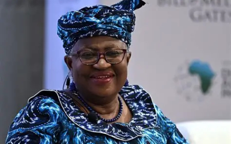 Okonjo-Iweala hails African teams’ impressive World Cup campaign