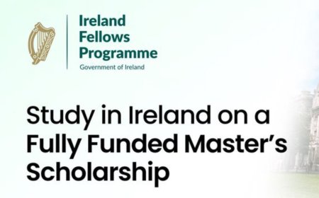 Government of Ireland Fellows Programme 2027 | Fully Funded