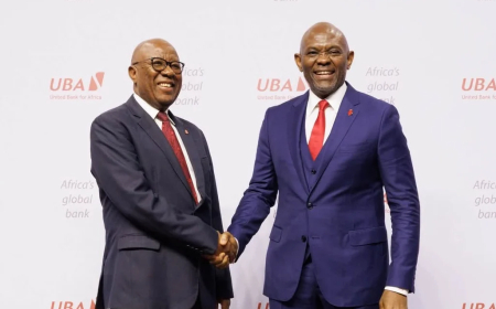 Tony Elumelu to step down as UBA chair, bank names successor