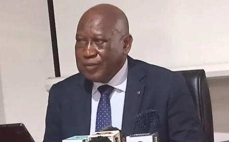 Ex-gen Olukolade backs state police, warns against delays, govs abuse