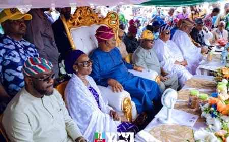 YAYI Flags Off Restoration of Electricity to Ogun Waterside Communities, Assures Completion Before December