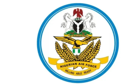 NAF airstrikes kill terrorists, destroy enclave in Borno