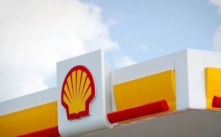 Shell Assessed Internship Program 2027 (Worldwide) | How to Apply