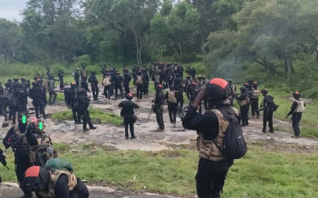 Military releases video of Oyo pupils, teachers’ rescue operation