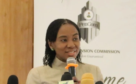 Pension assets rose 51% to N31.48tn in two years – PenCom DG