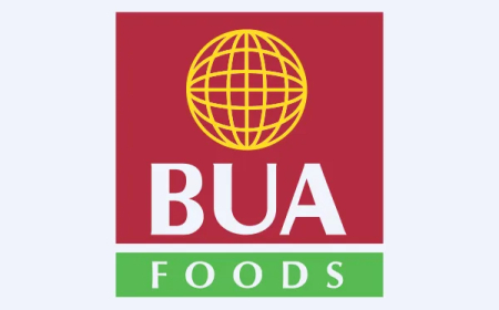 BUA to expand production after N504bn dividend
