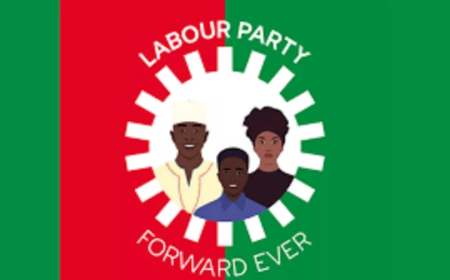 Labour Party denies missing INEC candidates’ upload deadline