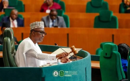 Government alone can’t tackle Nigeria’s challenges, says Speaker Abbas