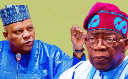 2027: Tinubu presents Shettima APC VP nomination certificate