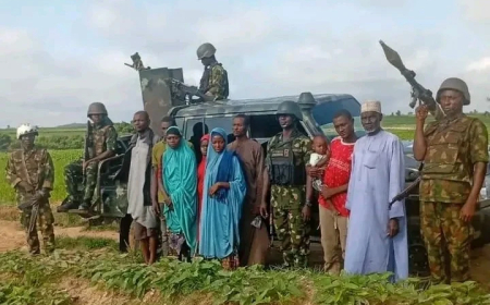 Soldiers rescue nine kidnap victims, recover 56 rustled animals in Katsina